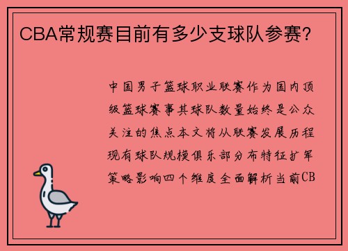 CBA常规赛目前有多少支球队参赛？