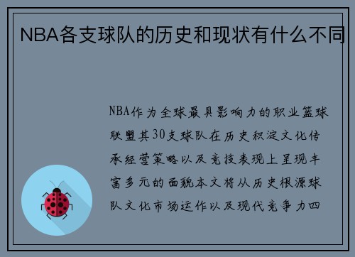 NBA各支球队的历史和现状有什么不同